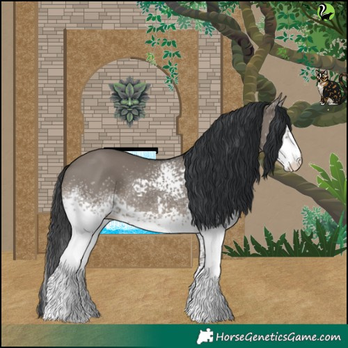 Horse Color:White Spotted Grullo 