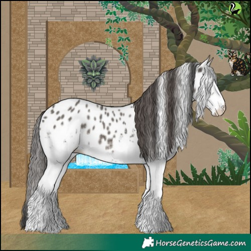 Horse Color:White Spotted Grullo Near Leopard