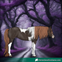 Horse Color:White Spotted Liver Chestnut Tobiano Rabicano