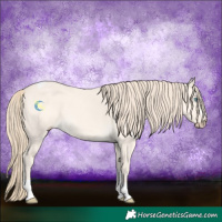 Horse Color:Perlino Dun Tobiano 
