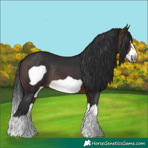 Horse Color:Brown Splash Frame Rabicano
