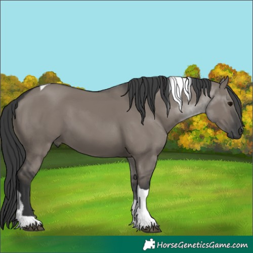 Horse Color:Grullo Tobiano 