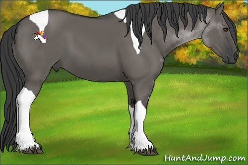 Horse Color:Grullo Tobiano 