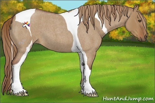 Horse Color:Red Dun Roan Tobiano