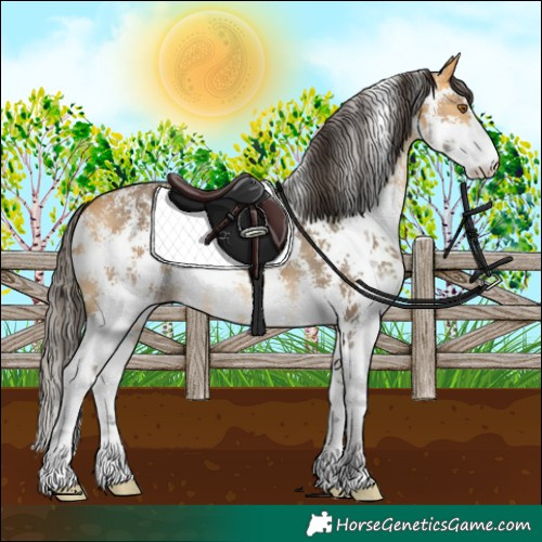 Horse Color:Buckskin Sabino