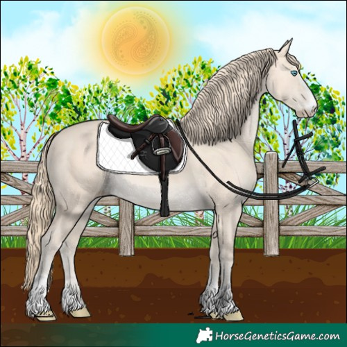 Horse Color:Perlino