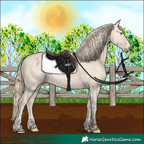 Horse Color:Perlino