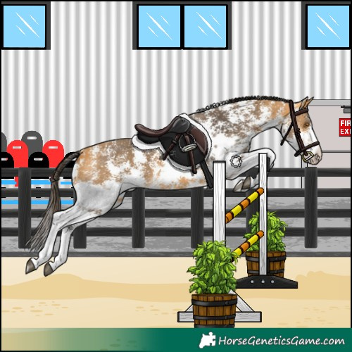 Horse Color:Buckskin Sabino