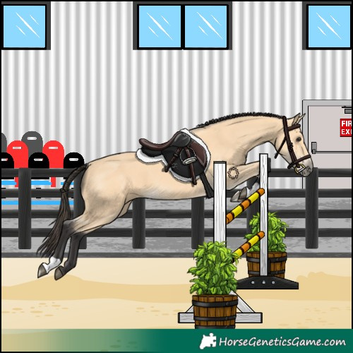 Horse Color:Buckskin 