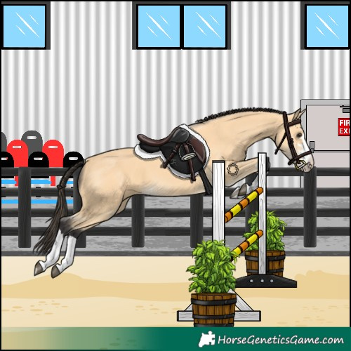 Horse Color:Buckskin 