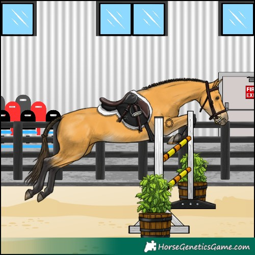 Horse Color:Buckskin 