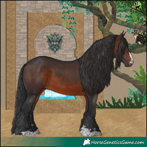 Horse Color:Brown 