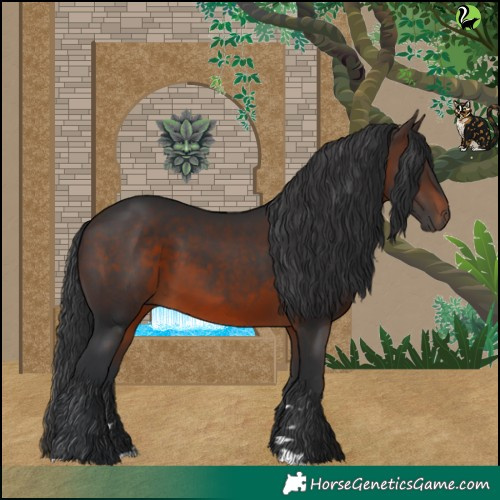 Horse Color:Brown 