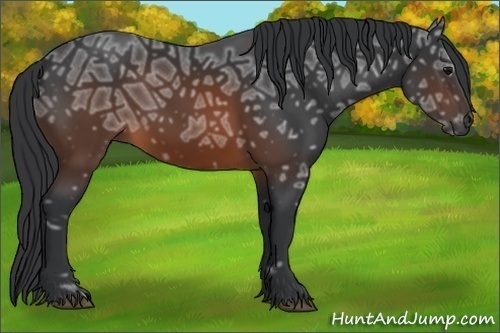 Horse Color:Brown Ice 