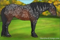 Horse Color:Brown Ice 