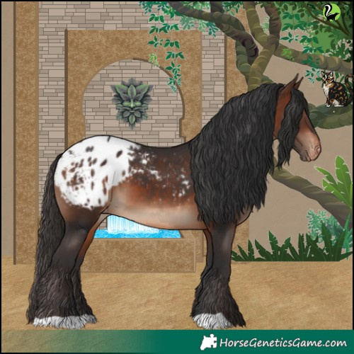 Horse Color:Brown Blanket