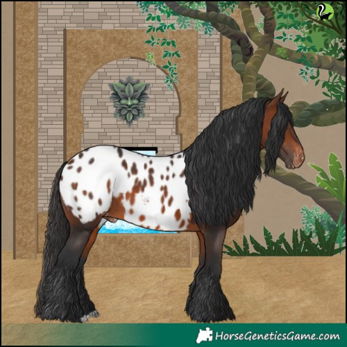 Horse Color:Brown Blanket 