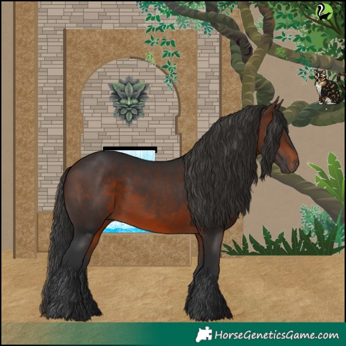 Horse Color:Brown 