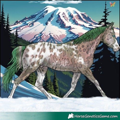 Horse Color:Watercolor Classic Champagne Ice Onyx Splash Blanket 