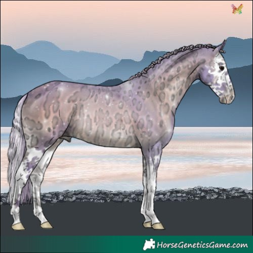 Horse Color:Watercolor Silver Brown Ice Onyx Splash 
