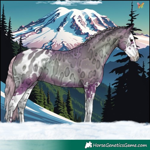 Horse Color:Watercolor Silver Blue Onyx Ice Splash Blanket