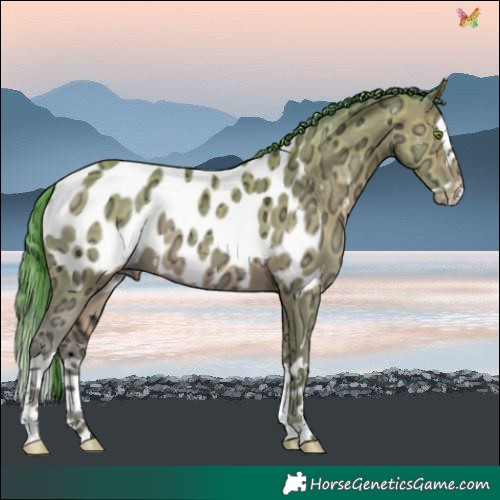 Horse Color:Watercolor Sable Champagne Ice Splash Blanket 