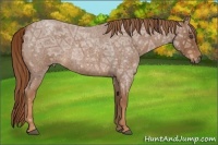 Horse Color:Red Ice Roan 
