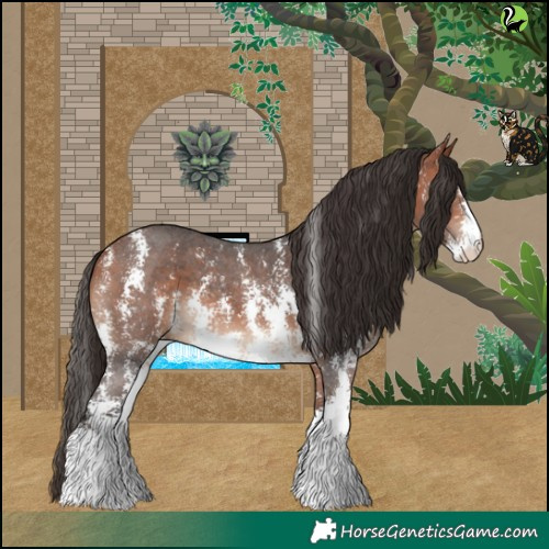 Horse Color:Bay Sabino 