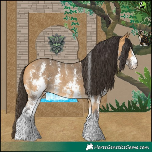 Horse Color:Buckskin Sabino 