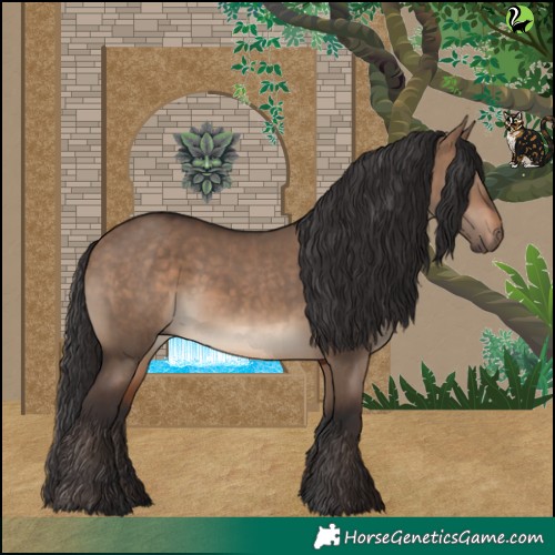 Horse Color:Brown Dun