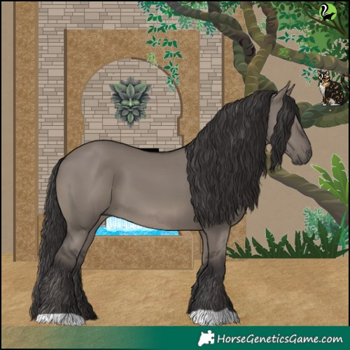 Horse Color:Smoky Grullo