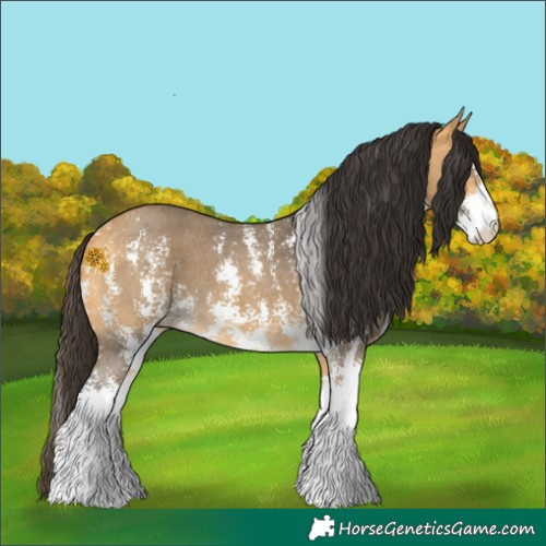 Horse Color:Buckskin Sabino 