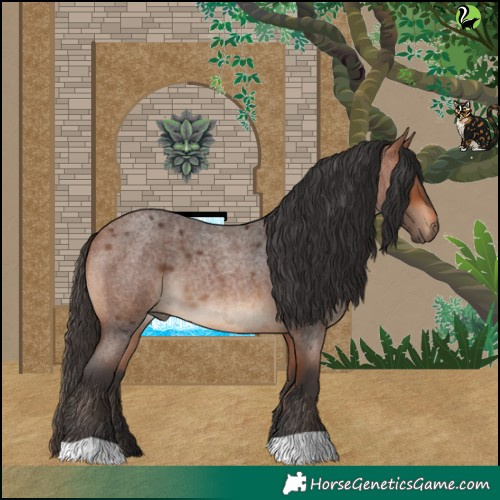 Horse Color:Bay Roan 