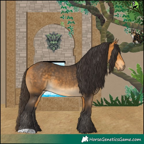 Horse Color:Buckskin 