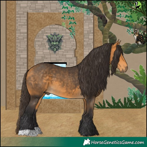 Horse Color:Buckskin