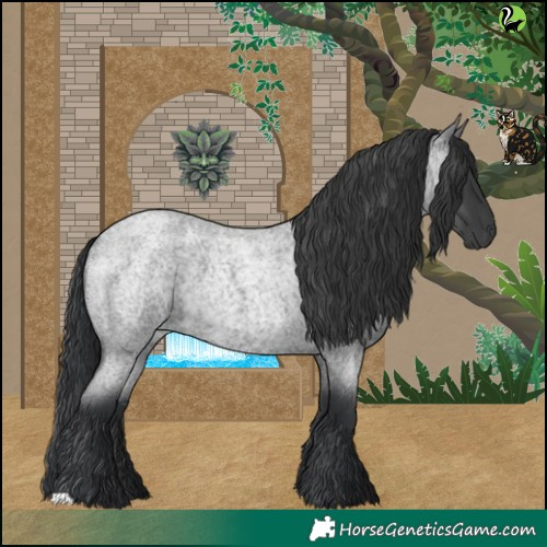 Horse Color:Blue Roan