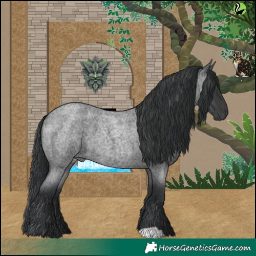 Horse Color:Blue Roan