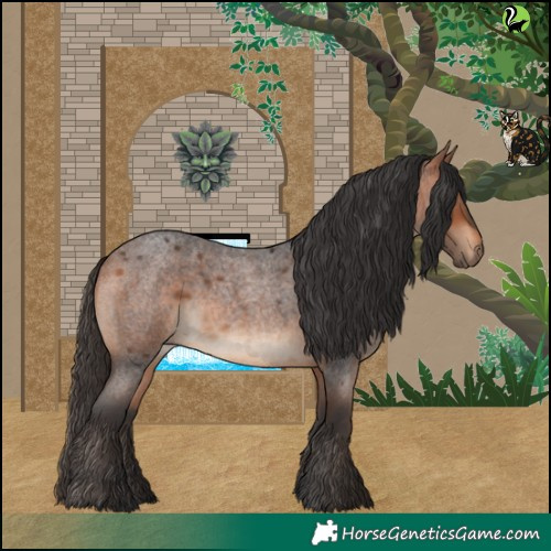 Horse Color:Bay Roan