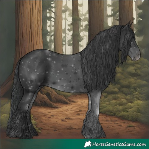 Horse Color:Black 