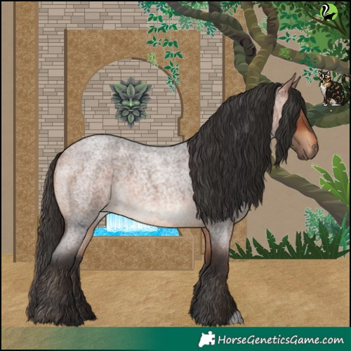 Horse Color:Bay Roan