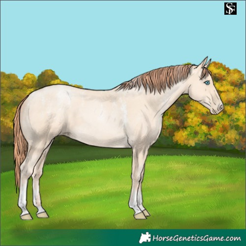 Horse Color:Powder White Classic Cream Champagne Pearl 