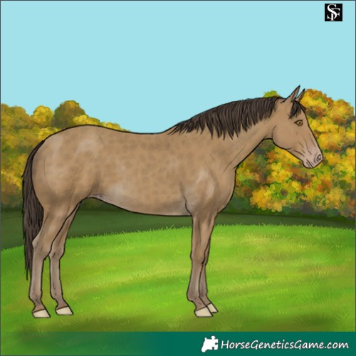 Horse Color:Classic Cream Champagne