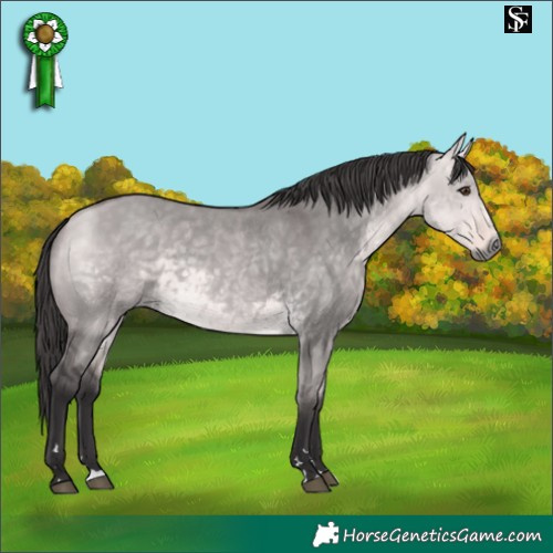 Horse Color:Platinum Buckskin Dun