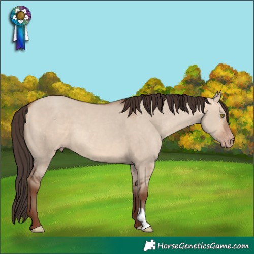 Horse Color:Amber Champagne Dun 