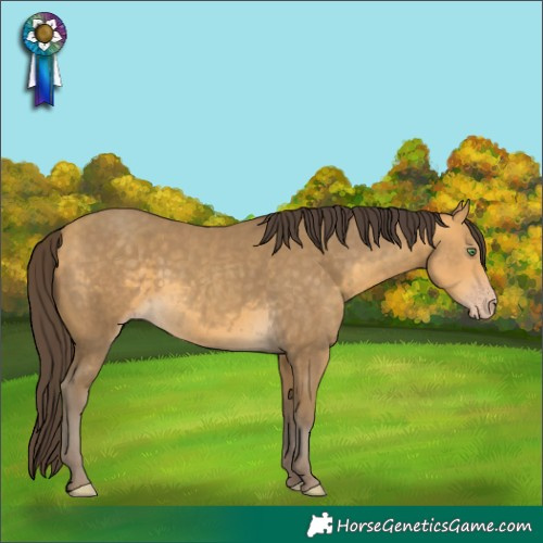 Horse Color:Sable Cream Champagne