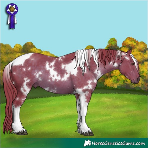 Horse Color:Watercolor White Spotted Liver Chestnut Tobiano 