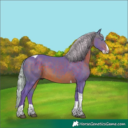 Horse Color:Watercolor Silver Brown Splash Tobiano 