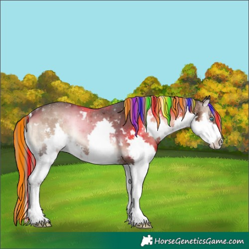 Horse Color:Painted White Spotted Liver Red Onyx Splash Rabicano 