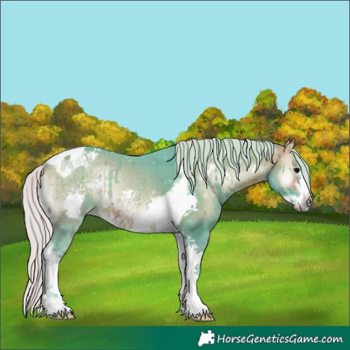 Horse Color:Watercolor Silver Brown Onyx Tobiano Frame Rabicano 