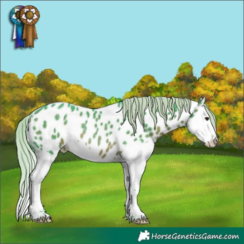 Horse Color:Watercolor Silver Brown Splash Appaloosa Rabicano